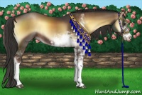 Horse Color:Liver Red Onyx Sabino Rabicano