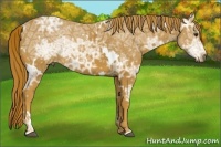 Horse Color:White Spotted Chestnut Ice 