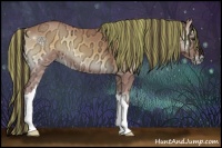 Horse Color:Painted Buckskin Ice Onyx