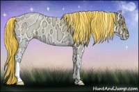 Horse Color:Painted Buckskin Ice Pearl Onyx 