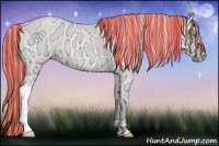 Horse Color:Painted Perlino Ice Roan Onyx 