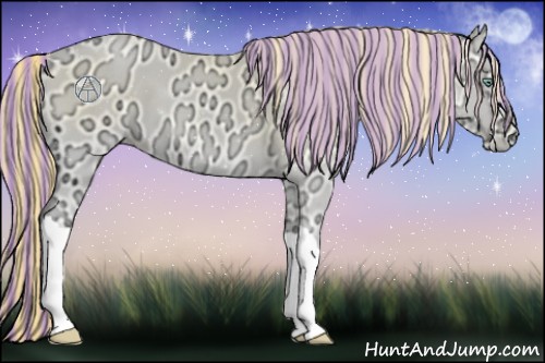Horse Color:Painted Buckskin Ice Roan Pearl Onyx 