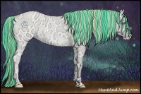 Horse Color:Painted Buckskin Ice Roan Pearl Onyx