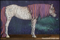 Horse Color:Painted Buckskin Ice Pearl Onyx Rabicano