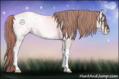 Horse Color:Watercolor Buckskin Ice Pearl Onyx 