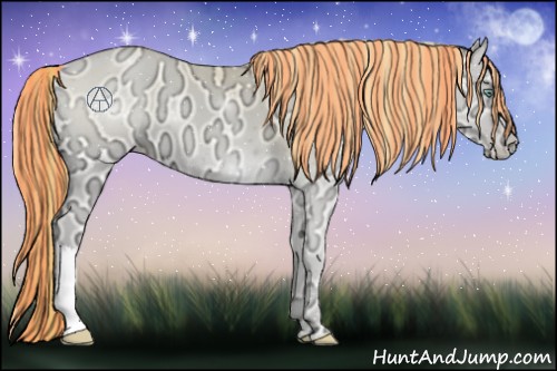 Horse Color:Painted Buckskin Ice Roan Pearl Onyx 