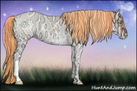 Horse Color:Painted Buckskin Ice Roan Pearl Onyx