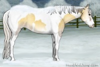 Horse Color:Silver Buckskin Onyx Sabino Tobiano