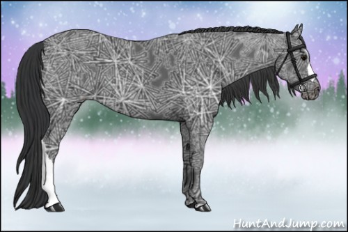 Horse Color:Black Ice