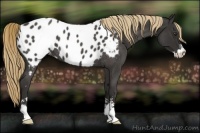 Horse Color:Liver Red Roan Sabino Near Leopard Rabicano
