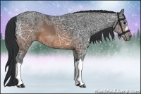 Horse Color:Brown Ice 