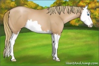 Horse Color:Chestnut Pearl Splash