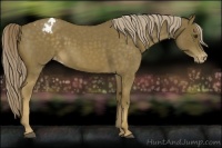 Horse Color:Chocolate Palomino Roan Varnish 