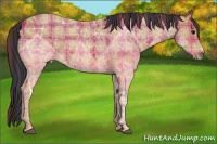 Horse Color:Plaid Bay Ice