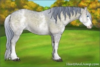 Horse Color:Watercolor White Spotted Blue Onyx Ice Splash