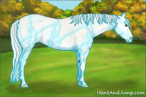 Horse Color:Thunderstruck Silver Amber Champagne Ice Roan Onyx Splash Rabicano