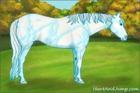 Horse Color:Thunderstruck Silver Amber Champagne Ice Roan Onyx Splash Rabicano