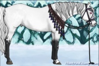 Horse Color:White Spotted Silver Bay Chinchilla 