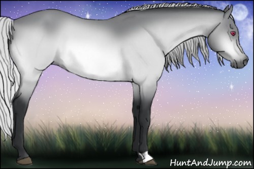 Horse Color:Silver Bay Chinchilla 