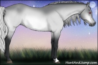 Horse Color:Silver Bay Chinchilla