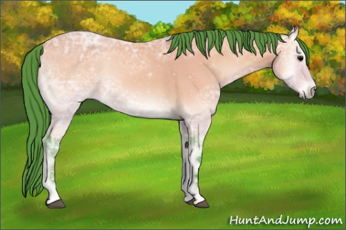 Horse Color:Watercolor Buckskin Ice Onyx