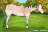 Horse Color:Watercolor Buckskin Ice Onyx 
