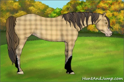 Horse Color:Plaid Amber Champagne