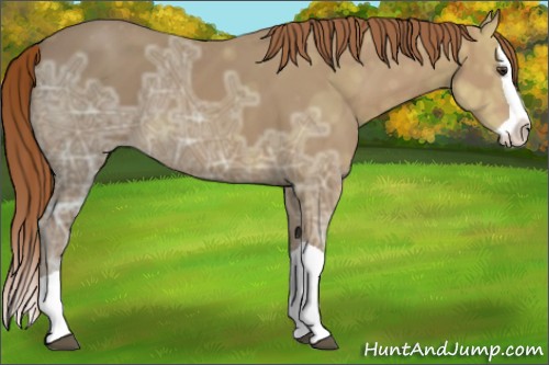 Horse Color:Chestnut Ice Splash