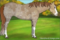 Horse Color:Chestnut Ice Splash 