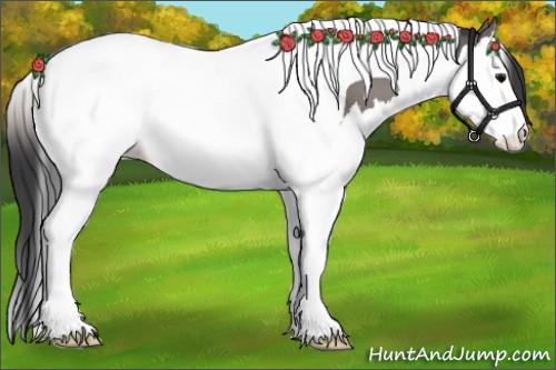 Horse Color:Grullo Roan Splash Tobiano
