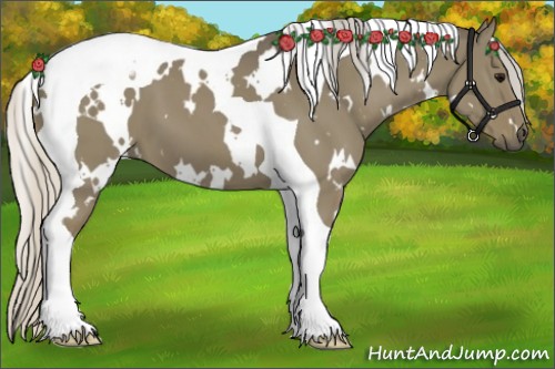 Horse Color:White Spotted Silver Grullo Tobiano 