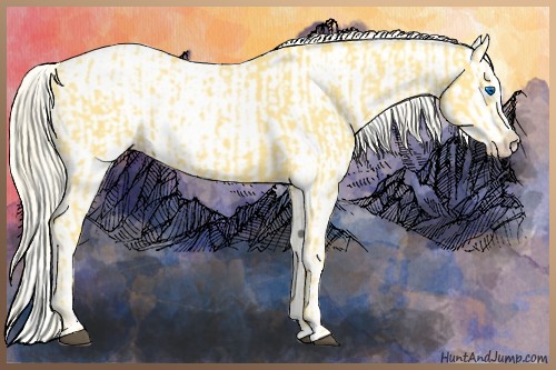 Horse Color:Palomino Splash Frame and Palomino Splash Frame Blanket