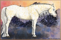 Horse Color:Palomino Splash Frame and Palomino Splash Frame Blanket