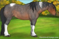 Horse Color:Brown Roan Tobiano Rabicano