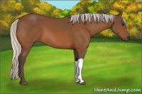 Horse Color:Silver Brown 