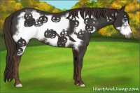 Horse Color:Liver Chestnut Frame 
