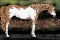 Horse Color:Chestnut Sabino Frame
