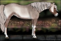Horse Color:Silver Blue Onyx Roan Sabino Rabicano