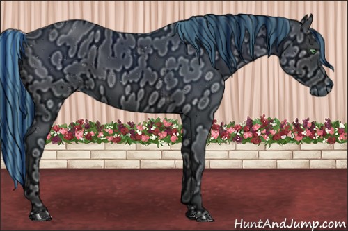 Horse Color:ERROR: UNKNOWN ANOMALY