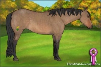 Horse Color:Bay Dun  and Bay Dun 