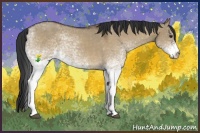 Horse Color:White Spotted Brown Dun