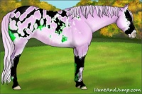 Horse Color:Watercolor Silver Bay Roan Onyx Sabino Splash Blanket 