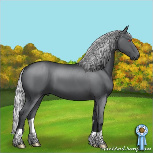 Horse Color:Silver Black Chinchilla