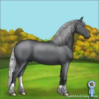 Horse Color:Silver Black Chinchilla 