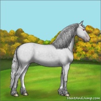 Horse Color:Silver Classic Champagne Chinchilla Dun 