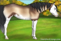 Horse Color:Brown Onyx Splash