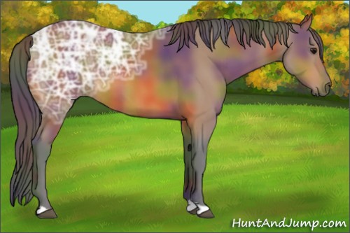 Horse Color:Nacre Bay Ice
