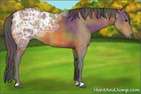 Horse Color:Nacre Bay Ice