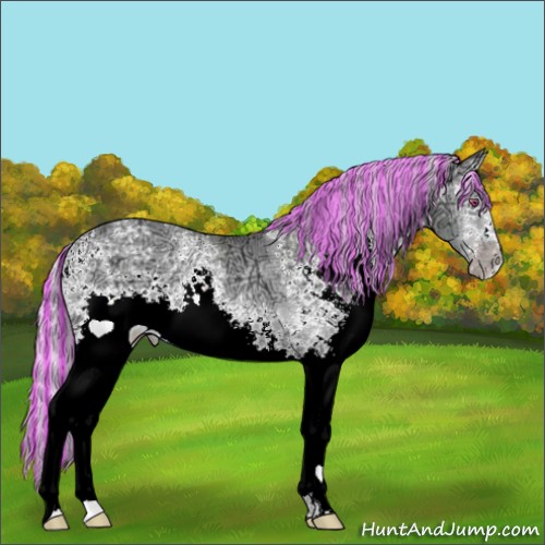 Horse Color:Painted White Spotted Silver Sable Champagne Chinchilla Ice Onyx Rabicano 