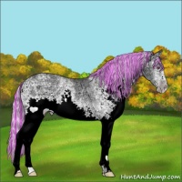 Horse Color:Painted White Spotted Silver Sable Champagne Chinchilla Ice Onyx Rabicano 